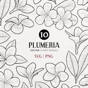 Plumeria SVG Clipart Bundle. 10 Tropical Hawaii Flowers. Botanical Vector Line Illustrations. Exotic Jungle Plant Decor. PNG & SVG files