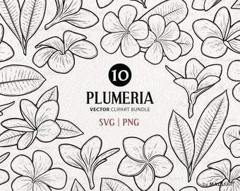 Plumeria SVG Clipart Bundle. 10 Tropical Hawaii Flowers. Botanical Vector Line Illustrations. Exotic Jungle Plant Decor. PNG & SVG files