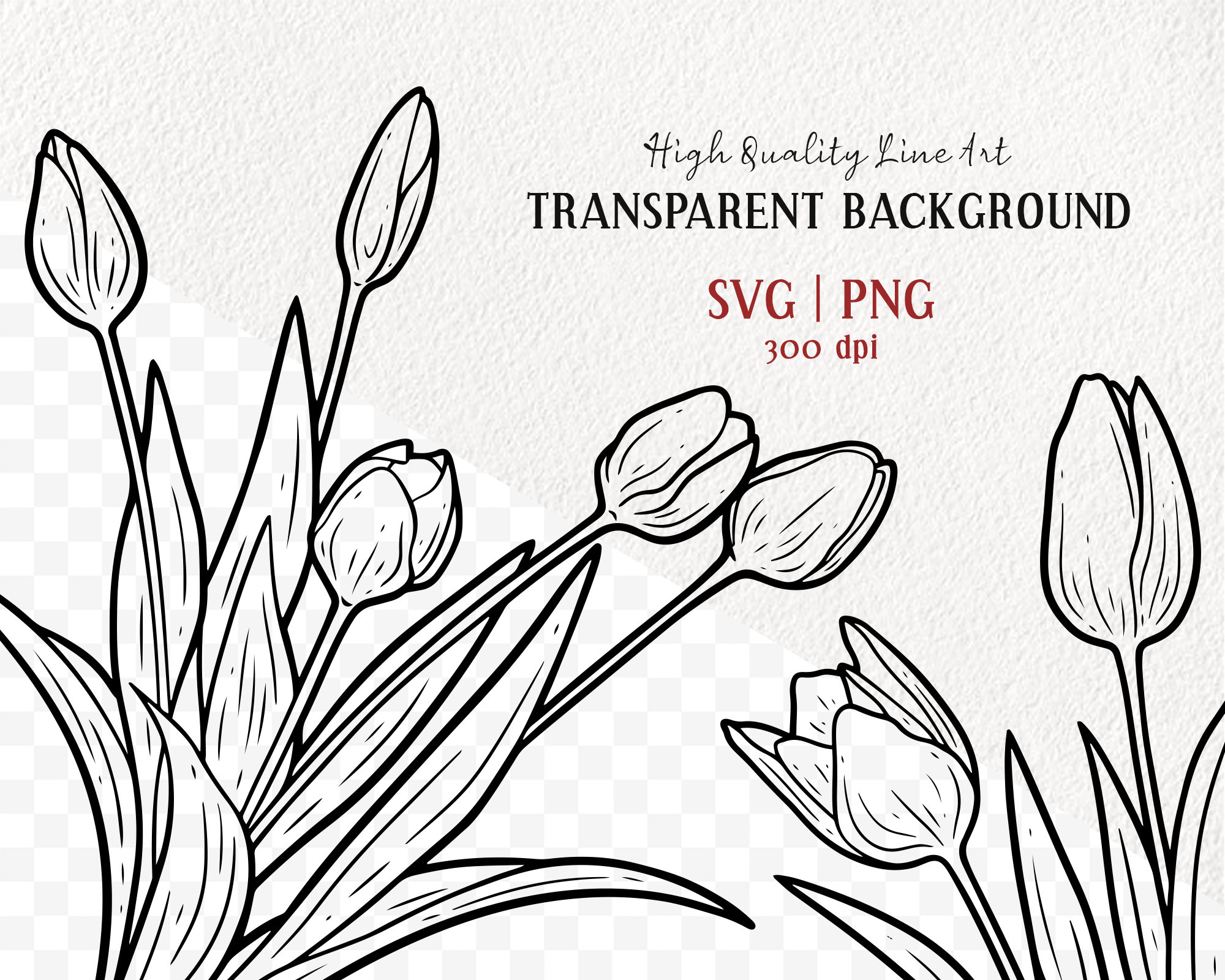 13 Tulips SVG Clipart Bundle. Easter Tulip Vector Line Drawings. Spring