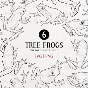 6 Grenouilles arboricoles SVG Clipart Bundle. Dessins vectoriels de grenouille. Grenouilles arboricoles vertes, blanches et aux yeux rouges. Graphiques de contour des reptiles. PNG et SVG commerciaux