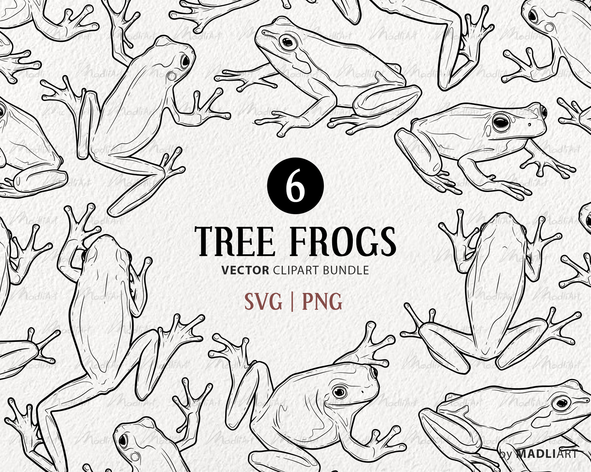 6 Tree Frogs SVG Clipart Bundle. Frog Vector Drawings. Green, White and
