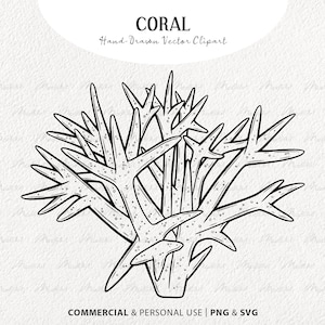 Coral SVG Clipart. Coral Vector Line Art. Coral Reef Illustration. Marine Life Outline Drawing. Ocean Plant Drawing. Commercial SVG & PNG