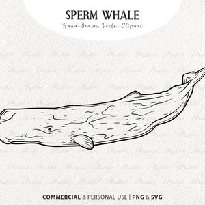 May include: A black and white line drawing of a sperm whale, a large toothed whale, swimming in the ocean. The whale is drawn in a simple, stylized manner, with its body and tail curved in a graceful arc. The drawing is suitable for use in a variety of projects, such as illustrations, posters, and educational materials.
