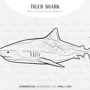 Tiger Shark SVG Clipart. Shark Vector Line Drawing. Ocean Animal Line Art. Marine Mammal Stamp. Commercial PNG & SVG