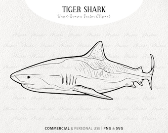 Tiger Shark SVG Clipart. Shark Vector Line Drawing. Ocean Animal Line Art. Marine Mammal Stamp. Commercial PNG & SVG