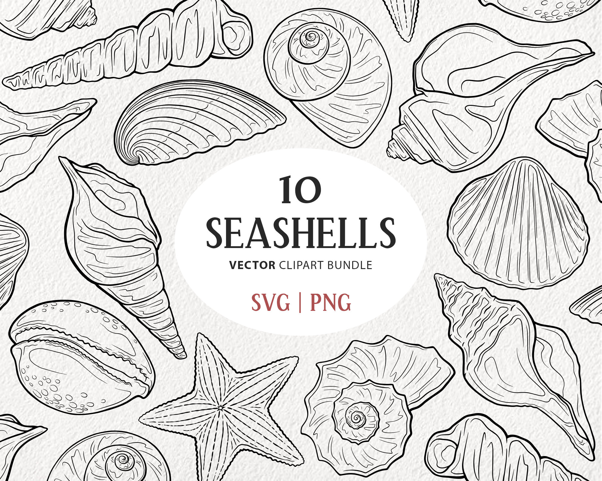 Seashell SVG Clipart Bundle. 10 Ocean Themed Vector Line Etsy