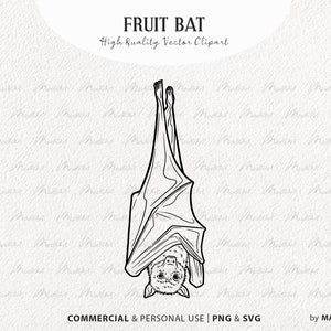 Fruit Bat SVG Clipart. Wiszący nietoperz Wektorowa Sztuka. Latający Lis Rysunek Linii. Halloween Wampir Zwierzęcy Kontur Ilustracja. Komercyjny PNG i SVG
