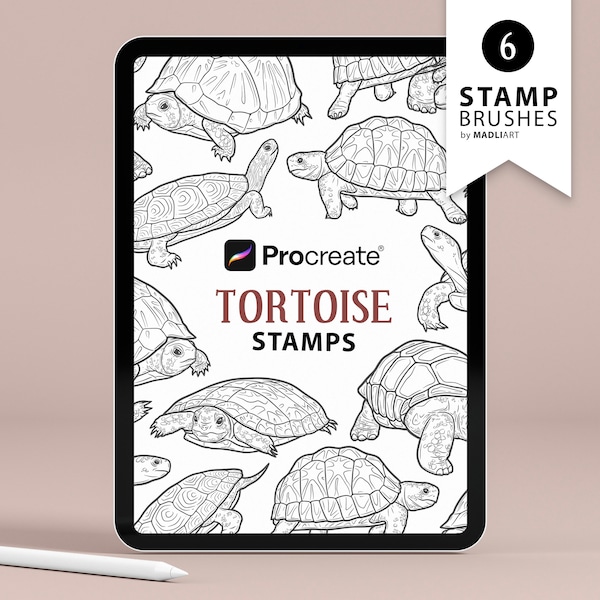 6 Tortoise Procreate Stamps. Land Turtle Tattoo Design. Galapagos Tortoise Line Art Brushes. Cute Turtle Drawing Stamps for Procreate iPad