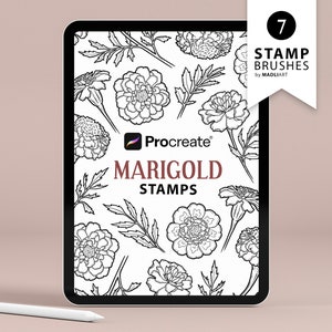 7 Timbres de procréation de fleurs de souci. Art de tatouage de fleur de souci. Dessin au trait de fleurs de printemps. Contour des roses. Brosses de procréation de fleurs sauvages.
