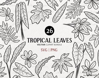 Pacchetto clipart SVG con 26 foglie tropicali. Foglie esotiche della giungla. Illustrazioni di linee vettoriali botaniche. File PNG e SVG