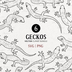 6 Geckos SVG Clipart Bundle. Lizard vector drawings. Leopard Gecko, Crested Gecko Line Art. Reptile Outline Graphics. Commercial PNG & SVG