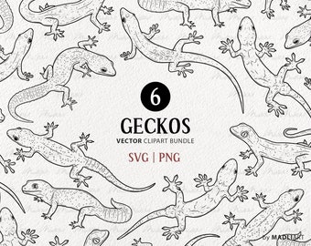 Pacchetto di clipart SVG di 6 gechi. Disegni vettoriali di lucertole. Geco leopardo, linea arte geco crestato. Grafica del contorno del rettile. PNG e SVG commerciali