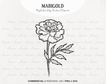 Marigold SVG Clipart. Spring Marigold Vector Blossom. Flower Stalk Line Drawing. Marigold Vector Outline. Wildflower art. PNG & SVG
