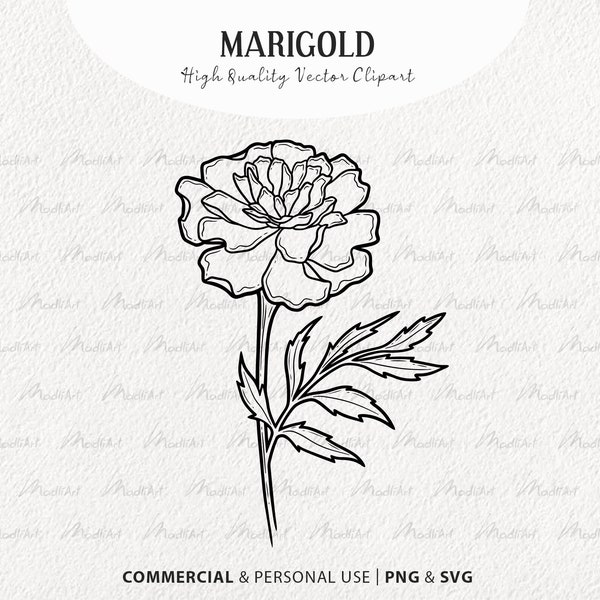 Marigold SVG Clipart. Spring Marigold Vector Blossom. Flower Stalk Line Drawing. Marigold Vector Outline. Wildflower art. PNG & SVG