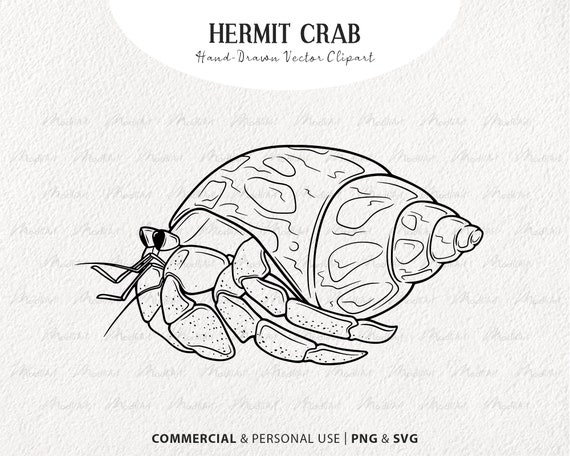 Hermit Crab Vector Clipart. Sea Creature Digital Line Drawing. - Etsy