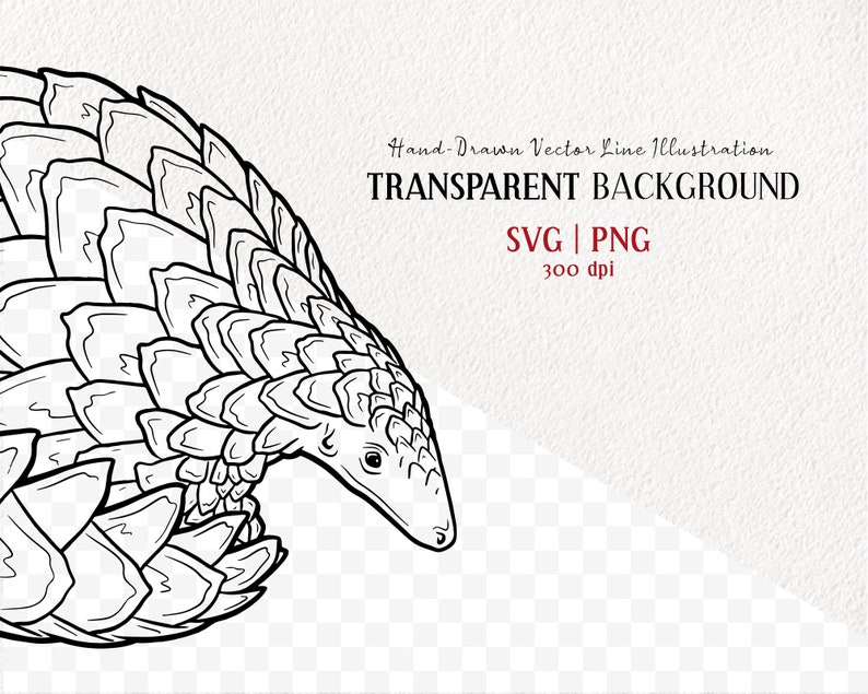 Indian Pangolin Vector Clip Art. Endangered Animal Artwork. - Etsy