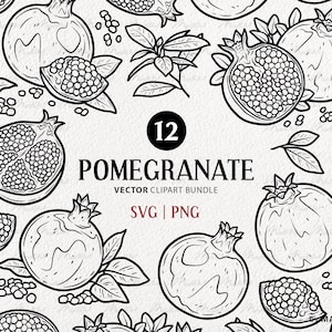 Pomegranate SVG Bundle. 12 Pomegranate Vector Line Drawings. Pomegranate Tropical Fruit Outline. Pomegranate Seeds, Leaves. PNG & SVG files