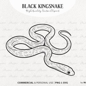 Zwarte Koningsslang SVG Clipart. Slang vectortekening. Cobra tattoo-ontwerp. Zweefvliegen Snake lijntekeningen. Reptielenoverzichtafbeeldingen. PNG en SVG