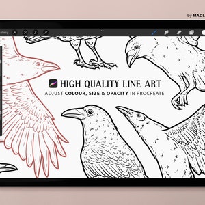 7 Procreate Raven Stamps. Crow Tattoo Design. Raven Clipart Brush ...