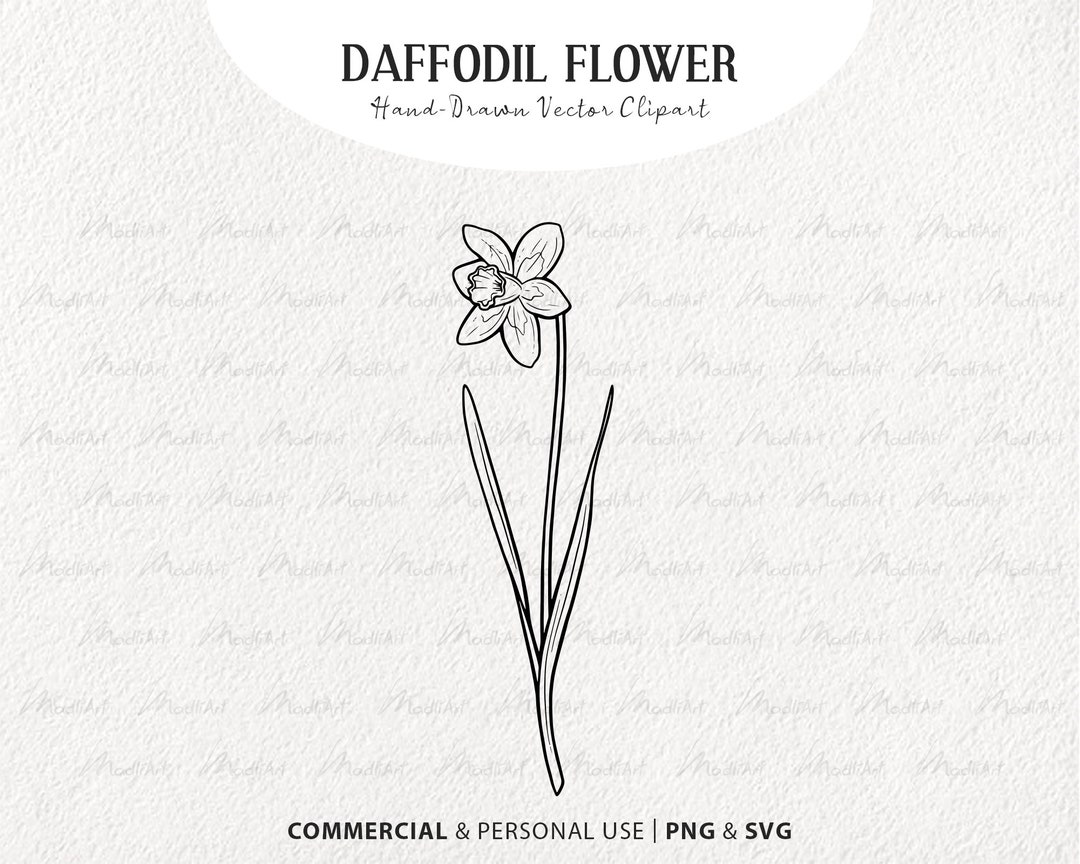 Daffodil Flower Vector Clipart Bundle. Spring Flower SVG Etsy