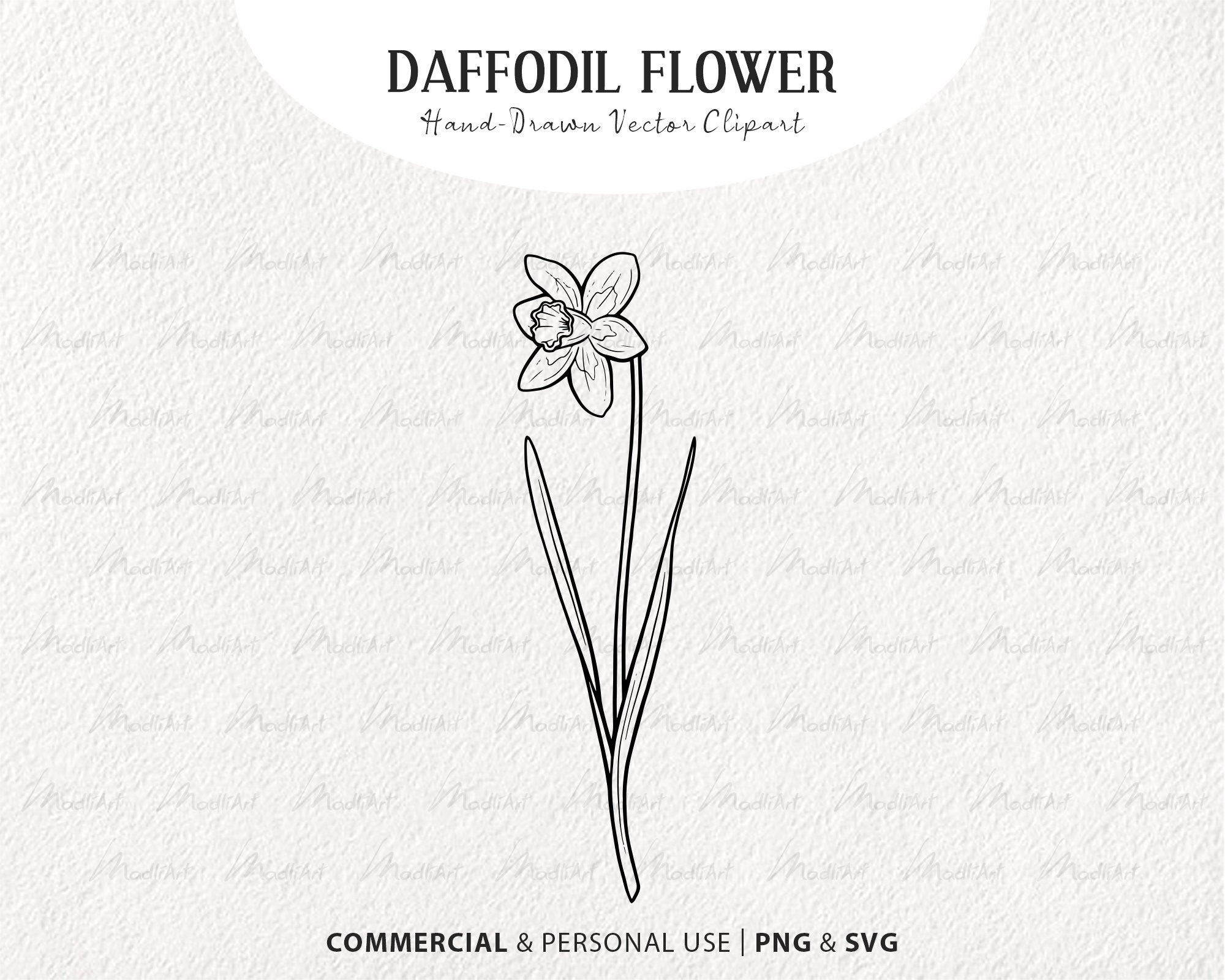 Daffodil Flower Vector Clipart Bundle. Spring Flower SVG Etsy