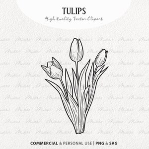 Ensemble de cliparts SVG tulipe. Dessin au trait vectoriel de tulipes de Pâques. Dessin au trait pour bouquet de fleurs printanières. Fleurs et feuilles de tulipe. PNG commerciaux, SVG