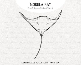 May include: A black and white hand-drawn vector clipart of a mobula ray. The image features the text "MOBULA RAY" and "Hand-Drawn Vector Clipart". The bottom of the image includes the text "COMMERCIAL & PERSONAL USE | PNG & SVG".