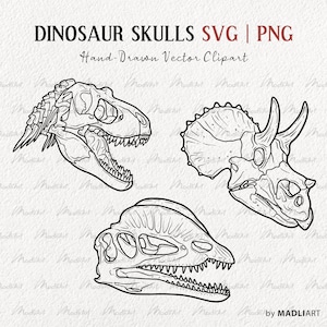 3 Conjunto de imágenes prediseñadas SVG de cráneo de dinosaurio. Dilophosaurus, T-Rex, Triceratops Vector Skull Art. Arte lineal de calaveras de dinosaurios prehistóricos. Arte SVG y PNG