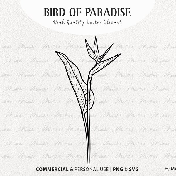 Bird Of Paradise Flower SVG Clipart. Tropical Flower Vector Outline. Heliconia Floral Line Illustration. Exotic Jungle Plant Art. PNG & SVG