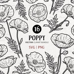 Lot de 16 cliparts SVG coquelicots. Dessin vectoriel de pavot. Clipart fleurs sauvages coquelicots. Dessin au trait de fleurs de pavot de printemps et de feuilles. PNG et SVG