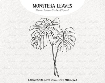 Monstera Leaf SVG Clipart. Tropical Leaf Vector Line Art. Botanical Illustration. Minimal Jungle Plant Decor Art. PNG & SVG, commercial use