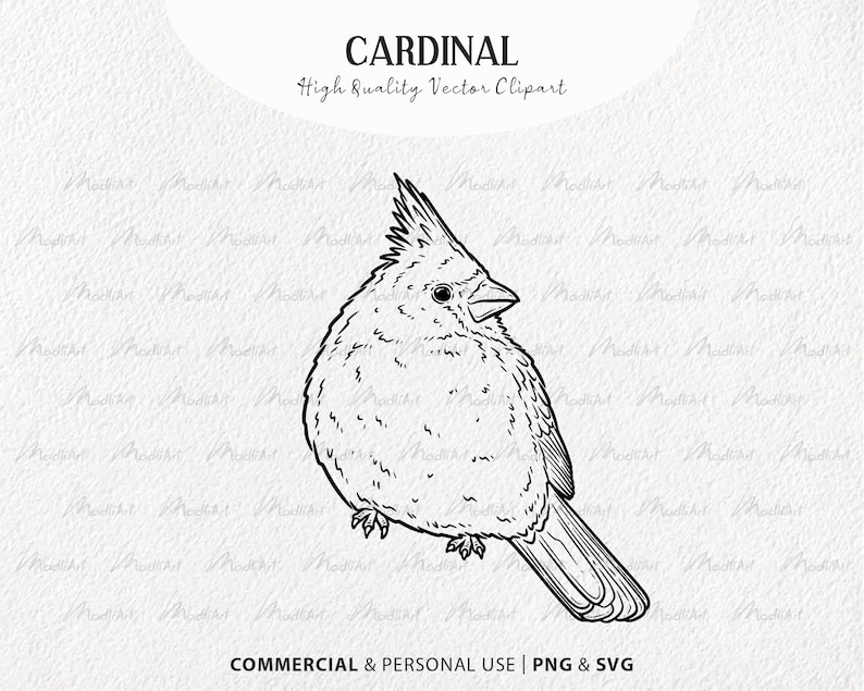 Cardinal Vector Clipart Bundle. Little Red Birds. Flying Birds Outline ...