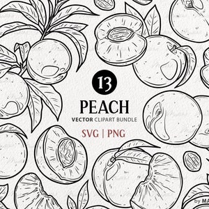 Peach SVG Clipart Bundle. 13 Vector Peaches. Peach Tree Branches, Fruit, Leaves Line Illustrations. Peach PNG & SVG files