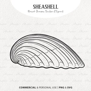 Seashell SVG Clipart. Ocean Themed Vector Line Drawing. Nautical Ocean Clam Shell. Beach Sea Shell Art Stamp. Digital Download SVG, PNG