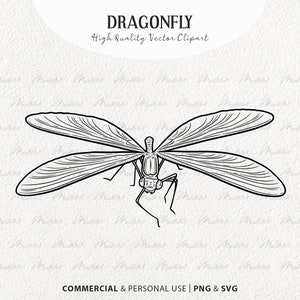 Libel SVG-clipart. Dragonfly Vector Overzicht Stempels. Damselfly lijn illustratie. Vliegende insectenlijntekening. Commercieel gebruik PNG & SVG