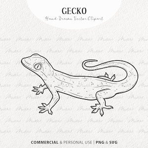 Può includere: Disegno in bianco e nero di un geco lucertola. Il geco è rannicchiato con la coda avvolta attorno al suo corpo. Il disegno è su sfondo bianco.