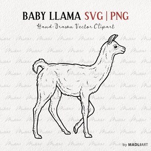 Bebé Llama SVG Imágenes Prediseñadas. Dibujo de línea SVG de alpaca. Dibujo vectorial de llamas. Arte de línea de tatuaje de llama. Sellos de imágenes prediseñadas de llama. Comercial SVG y PNG