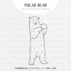Clipart SVG ours polaire. Contour De Vecteur D'ours D'hiver Debout. Dessin d'ours des glaces. Contour d'animal d'hiver. PNG et SVG à usage commercial
