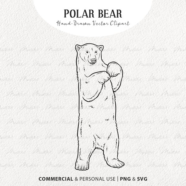 Polar Bear SVG Clipart. Standing Winter Bear Vector Outline. Ice Bear Drawing. Winter Animal Outline. PNG & SVG Commercial Use