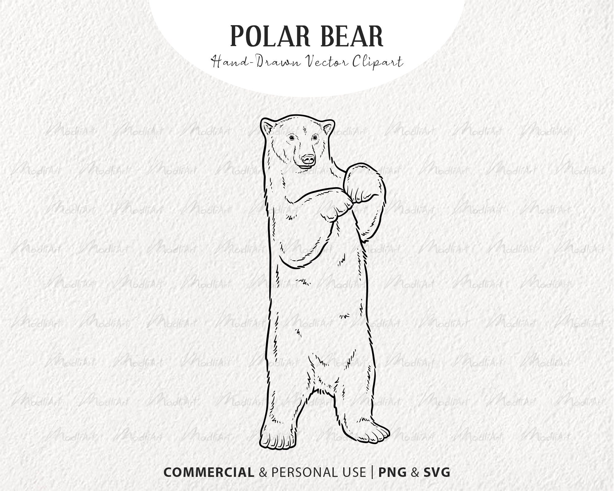 Charles Frace, POLAR BEAR Sketch Print | eBay