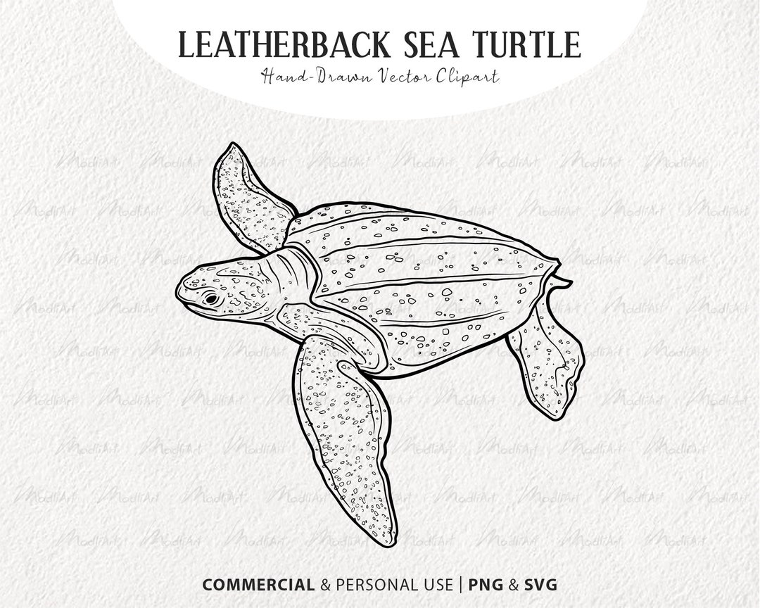 Leatherback Sea Turtle Vector Clip Art. Sea Animal Artwork