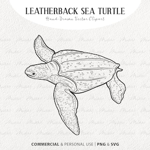 Lederschildkröte SVG Clip Art. Meeresschildkröte Vektor Linie Kunst. Meerestier Zeichnung. Illustration der wild lebenden Tiere des Ozeans. Kommerzielles PNG & SVG