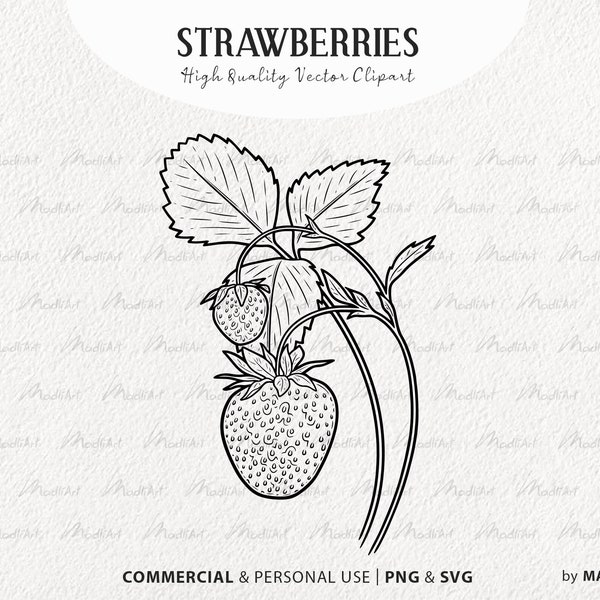 Strawberry SVG Clipart. Vector Strawberry Plant Outline. Strawberries, Blossoms, Leaves Line Illustration. Summer Berries PNG & SVG files