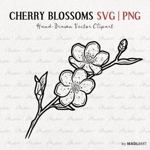 Kirschblüte SVG Clipart. Kirschen Vektor-Kunst. Kirschblumen Linie Art. Kirschbaum Zweig Clipart Illustration. Kommerzielles PNG & SVG
