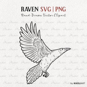 Raven SVG Clipart. Crow Vector Line Drawing. Halloween Crow Clipart. Bird Outline Art. Flying Raven Birds. SVG & PNG line art