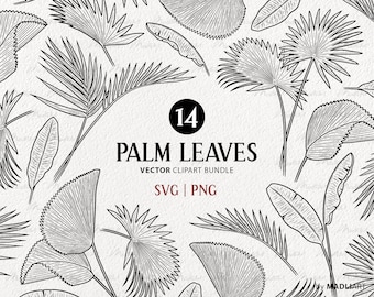 Palm Leaves SVG Clipart Bundle. 14 Vector Jungle Leaves. Tropical Ruffled Fan Palm, Areca Palm, Banana Palm Leaves Line Art. PNG & SVG