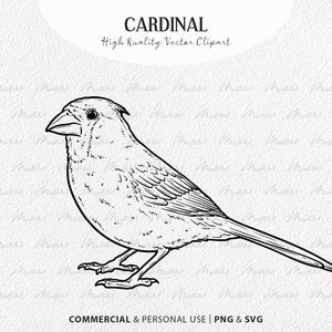 Kardinaal Vector Clipart-bundel. Kleine rode vogels. Vliegende vogels overzicht Set. Vogel lijntekeningen. Wintervogel tekening. Commercieel gebruik SVG & PNG