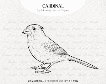 Paquete de imágenes prediseñadas vectoriales cardinales. Pequeños pájaros rojos. Conjunto de contorno de pájaros voladores. Arte lineal de pájaros. Dibujo de pájaros de invierno. Uso comercial SVG y PNG