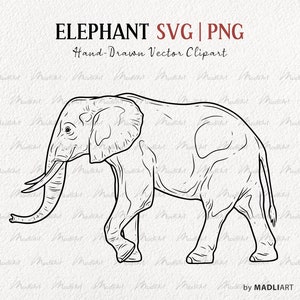 May include: A black and white line drawing of an elephant walking to the right. The elephant has a long trunk and large ears. The drawing is on a white background.