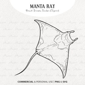 Manta Ray SVG Clipart. Ray Fish Svg Illustration. Stingray Vector Art. Shark Drawing. Ocean Animal Line Art. Commercial SVG, PNG